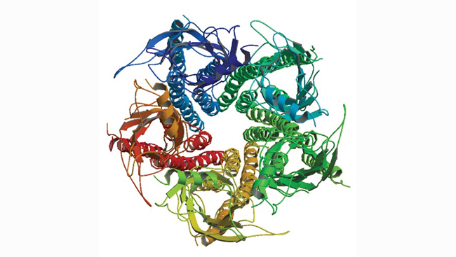 Molecular structure of a receptor